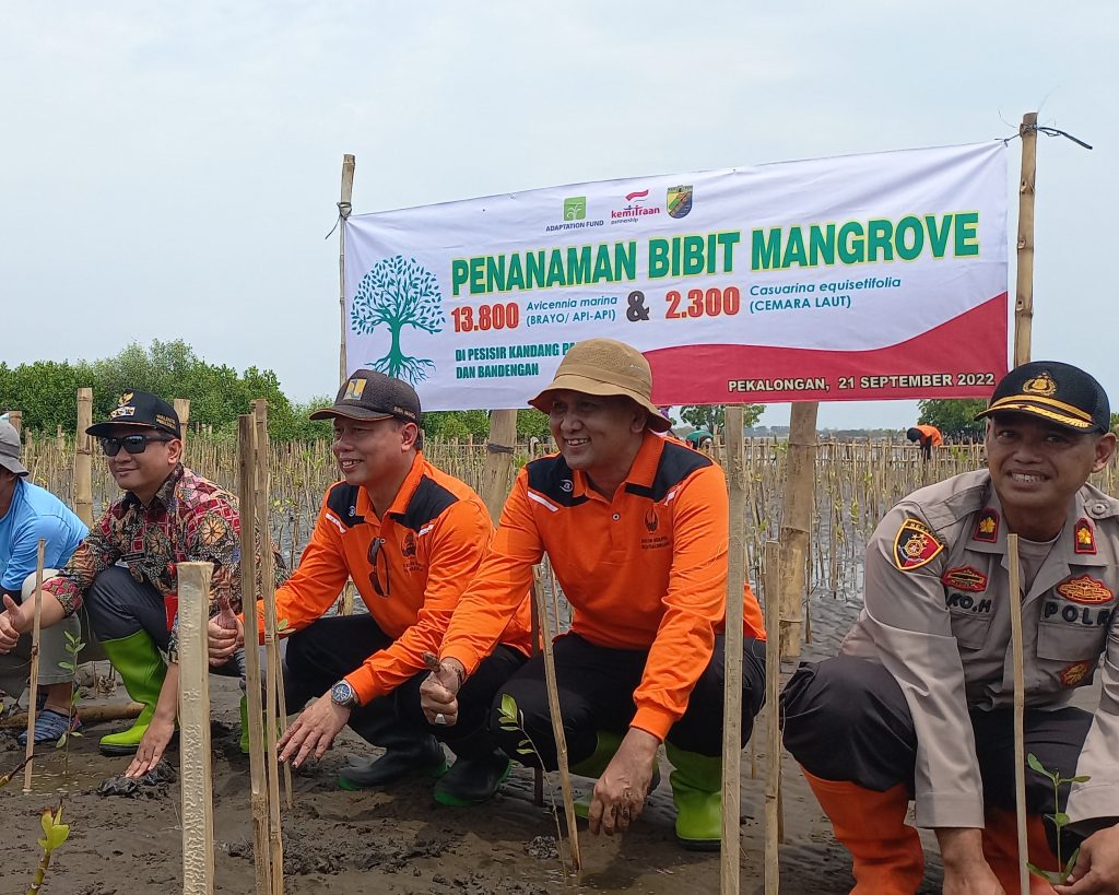 2022-09-PenanamanMangrove-1024x819